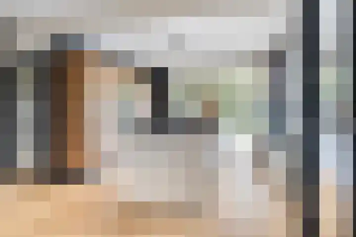 Elzekamp 10 Tytsjerk thumbnail 21