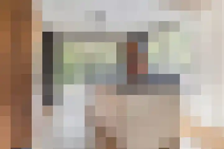 Elzekamp 10 Tytsjerk thumbnail 22