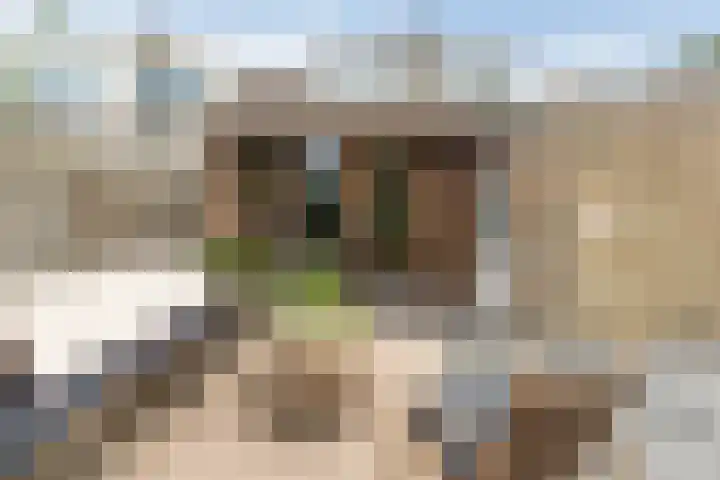Elzekamp 10 Tytsjerk thumbnail 28