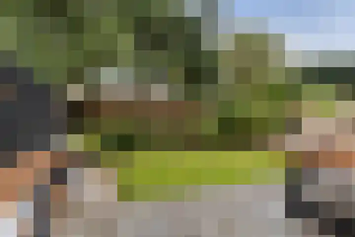 Elzekamp 10 Tytsjerk thumbnail 30
