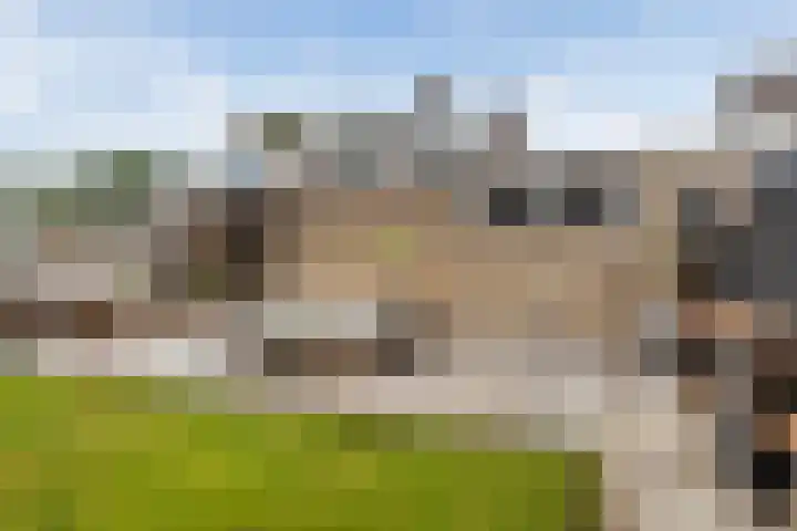 Elzekamp 10 Tytsjerk thumbnail 31