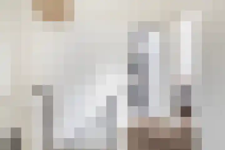 Elzekamp 10 Tytsjerk thumbnail 33