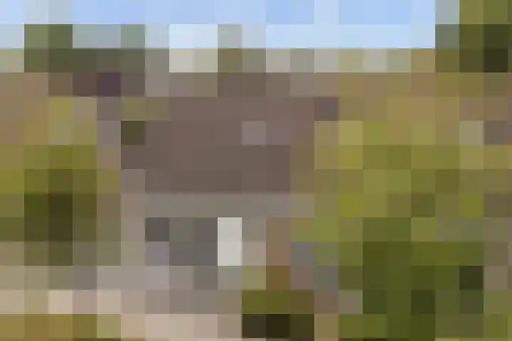 Elzekamp 10 Tytsjerk thumbnail 45