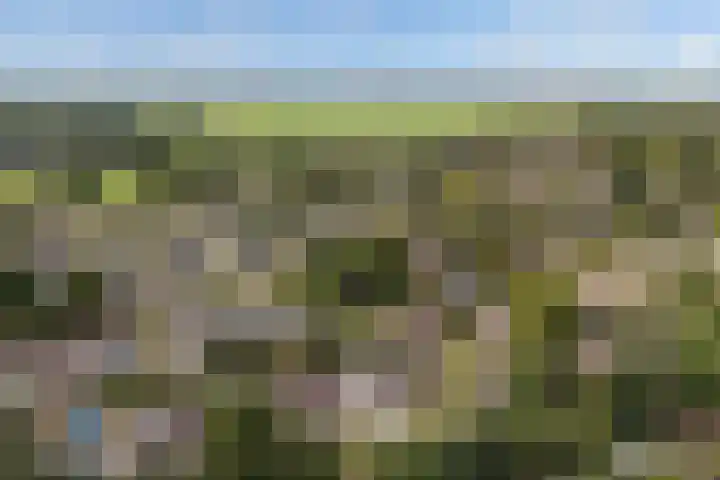 Elzekamp 10 Tytsjerk thumbnail 47