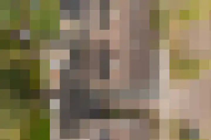 Elzekamp 10 Tytsjerk thumbnail 49