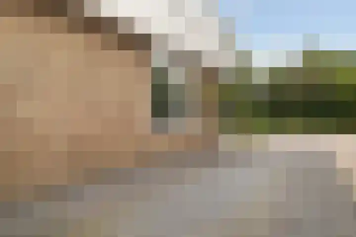 Elzekamp 10 Tytsjerk thumbnail 9
