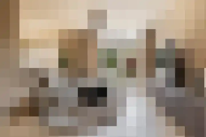 Elzekamp 14 Tytsjerk thumbnail 15