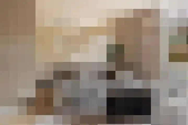 Elzekamp 14 Tytsjerk thumbnail 17
