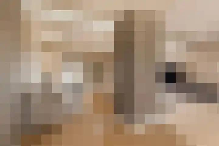 Elzekamp 14 Tytsjerk thumbnail 21