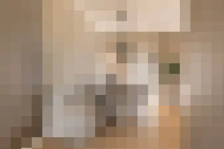 Elzekamp 14 Tytsjerk thumbnail 22