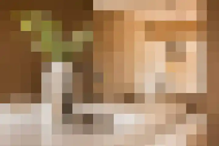 Elzekamp 14 Tytsjerk thumbnail 32