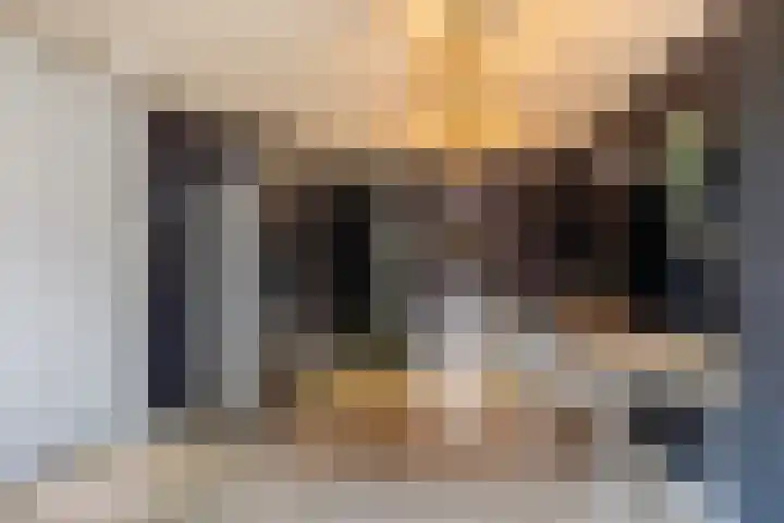 Elzekamp 14 Tytsjerk thumbnail 35