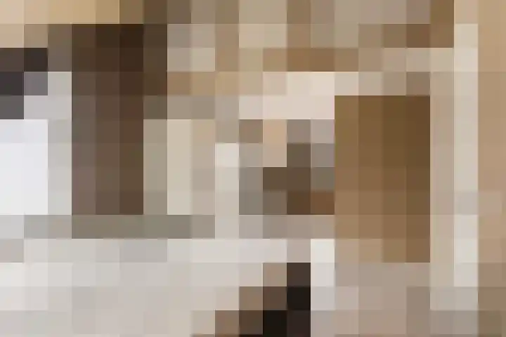 Elzekamp 14 Tytsjerk thumbnail 40