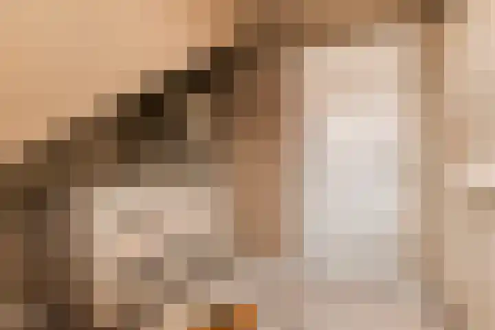 Elzekamp 14 Tytsjerk thumbnail 45