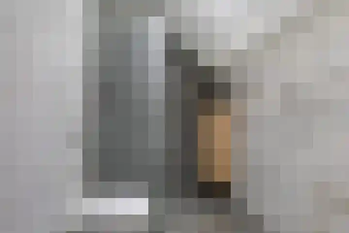 Elzekamp 14 Tytsjerk thumbnail 47