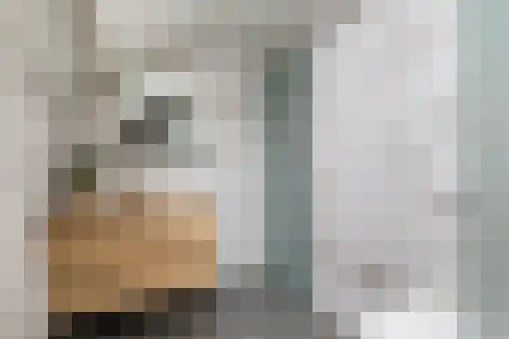 Elzekamp 14 Tytsjerk thumbnail 48