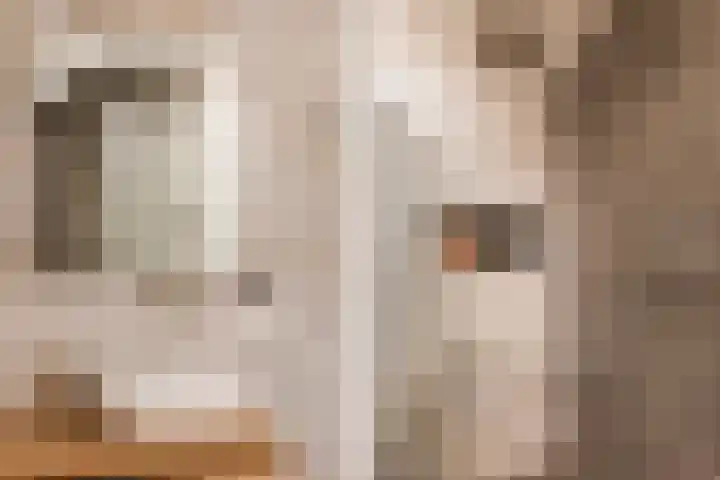 Elzekamp 14 Tytsjerk thumbnail 49