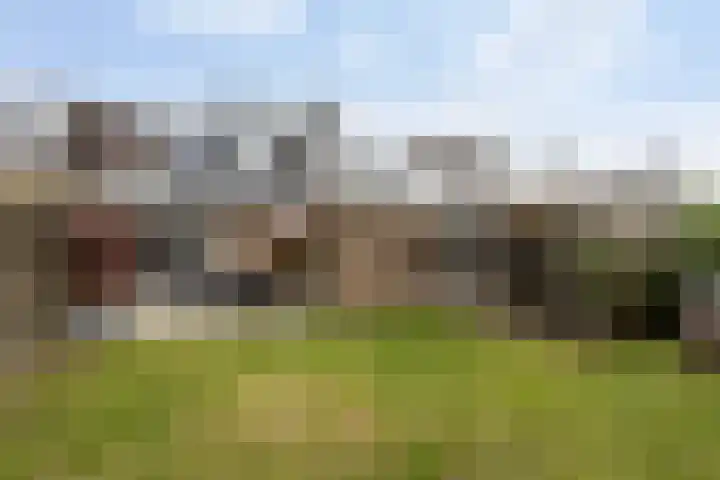 Elzekamp 14 Tytsjerk thumbnail 5