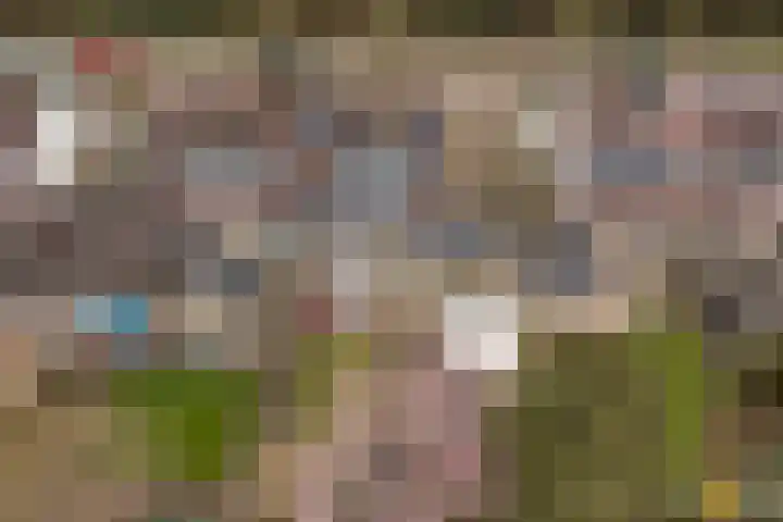 Elzekamp 14 Tytsjerk thumbnail 55