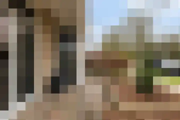 Elzekamp 14 Tytsjerk thumbnail 9