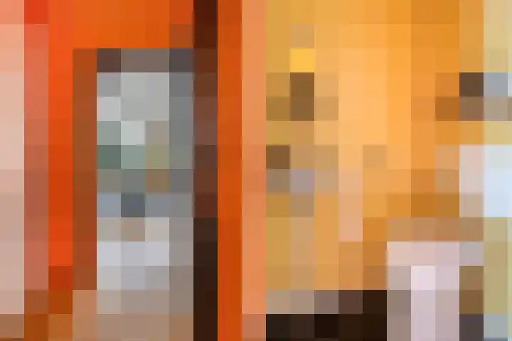 Elzekamp 16 Tytsjerk thumbnail 11
