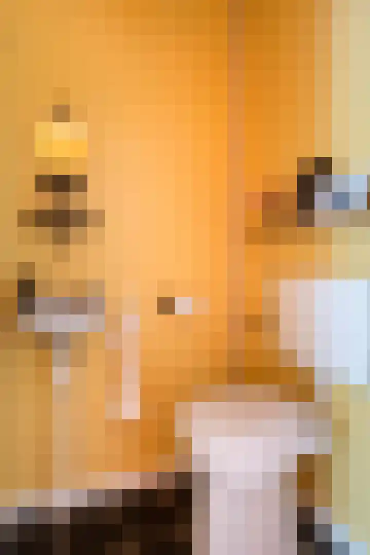 Elzekamp 16 Tytsjerk thumbnail 12
