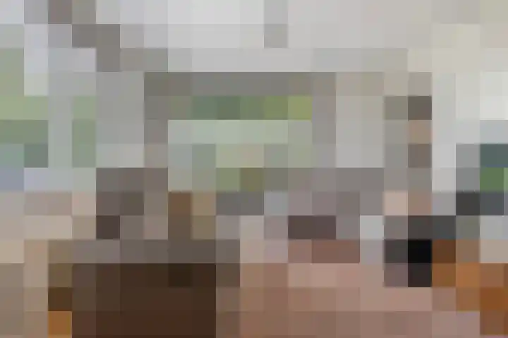 Elzekamp 16 Tytsjerk thumbnail 14