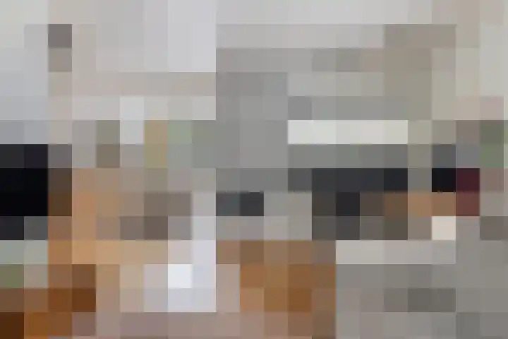 Elzekamp 16 Tytsjerk thumbnail 15