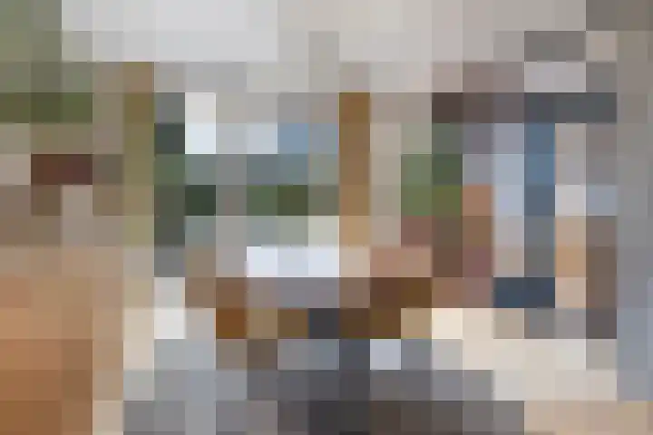 Elzekamp 16 Tytsjerk thumbnail 17