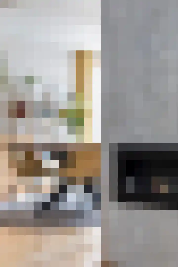 Elzekamp 16 Tytsjerk thumbnail 20
