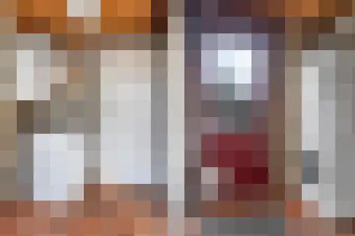 Elzekamp 16 Tytsjerk thumbnail 26
