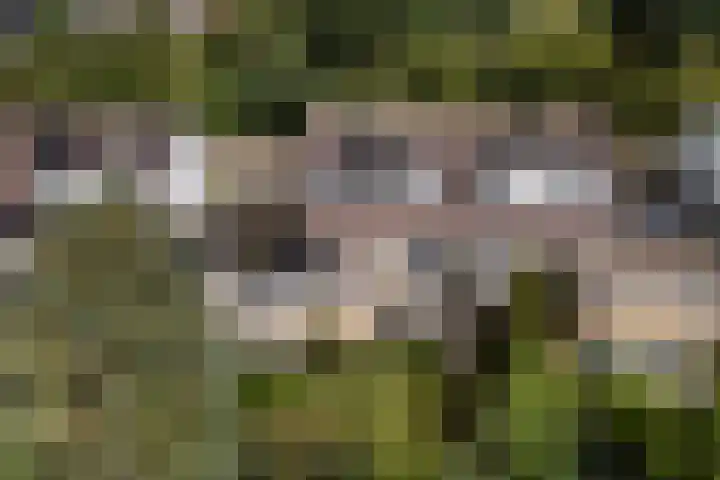 Elzekamp 16 Tytsjerk thumbnail 40