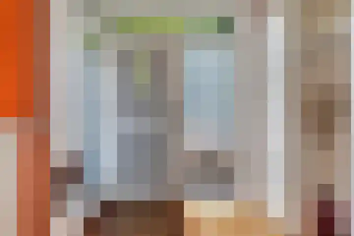 Elzekamp 16 Tytsjerk thumbnail 8