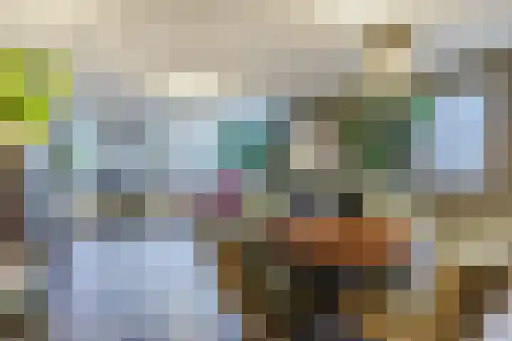 Elzekrulzoom 55 Alphen aan den Rijn thumbnail 17