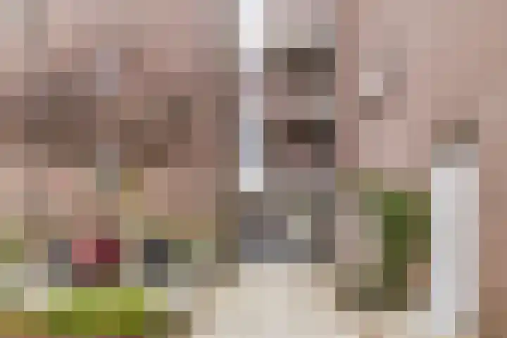Elzekrulzoom 55 Alphen aan den Rijn foto 2
