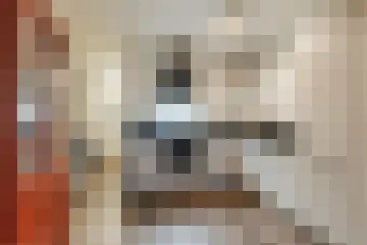 Elzekrulzoom 55 Alphen aan den Rijn thumbnail 22