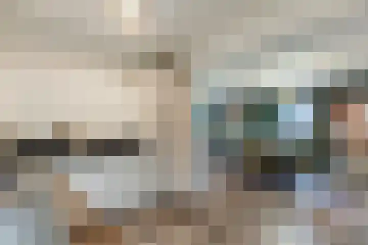 Elzekrulzoom 55 Alphen aan den Rijn thumbnail 24