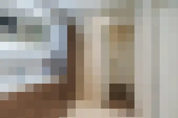 Elzekrulzoom 55 Alphen aan den Rijn thumbnail 39