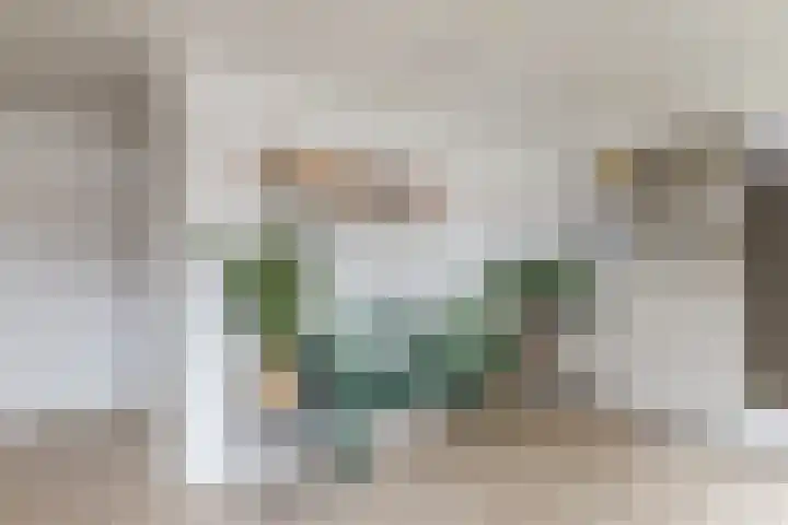 Elzekrulzoom 55 Alphen aan den Rijn thumbnail 4