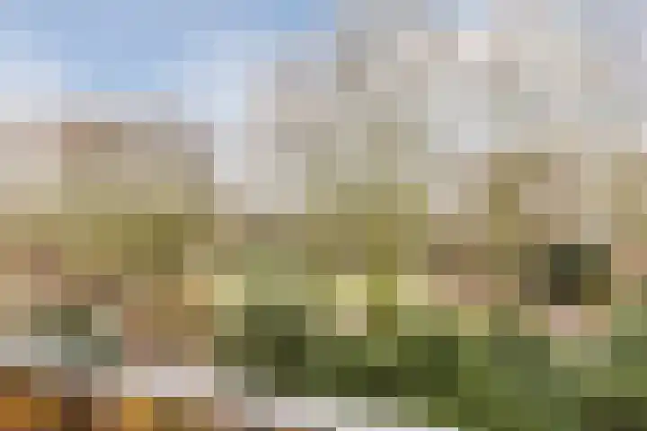 Elzekrulzoom 55 Alphen aan den Rijn thumbnail 45