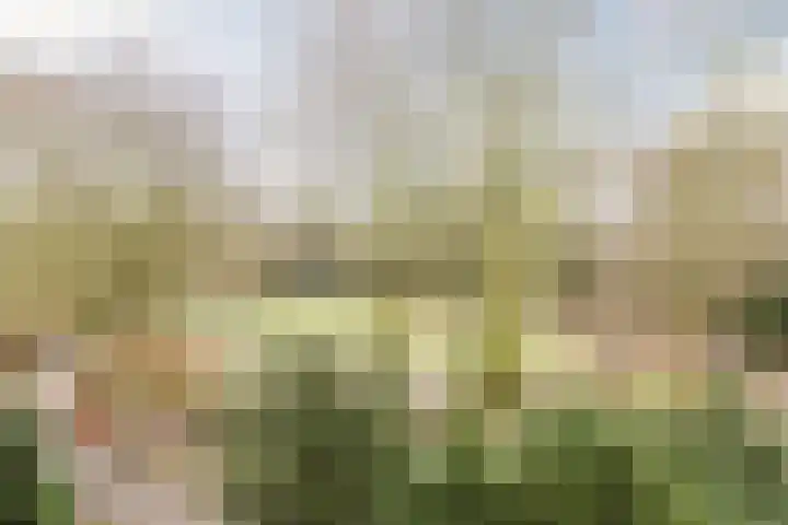 Elzekrulzoom 55 Alphen aan den Rijn thumbnail 46