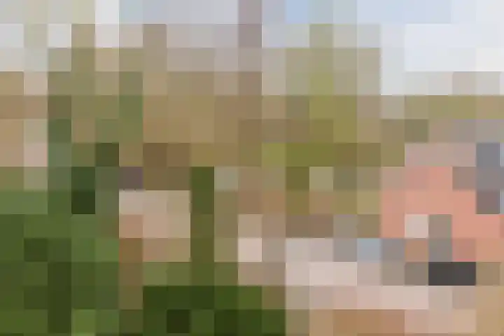 Elzekrulzoom 55 Alphen aan den Rijn thumbnail 47