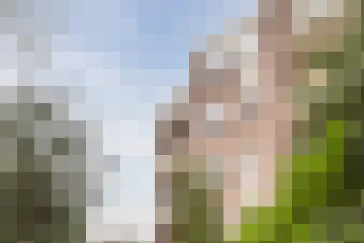 Elzekrulzoom 55 Alphen aan den Rijn thumbnail 51