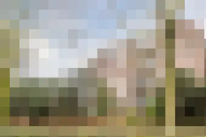 Elzekrulzoom 55 Alphen aan den Rijn thumbnail 52