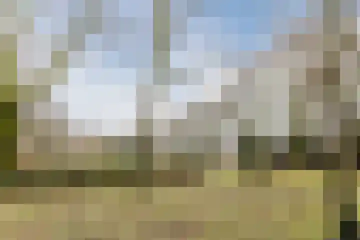 Elzekrulzoom 55 Alphen aan den Rijn thumbnail 53