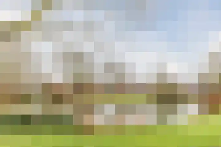 Elzekrulzoom 55 Alphen aan den Rijn thumbnail 54