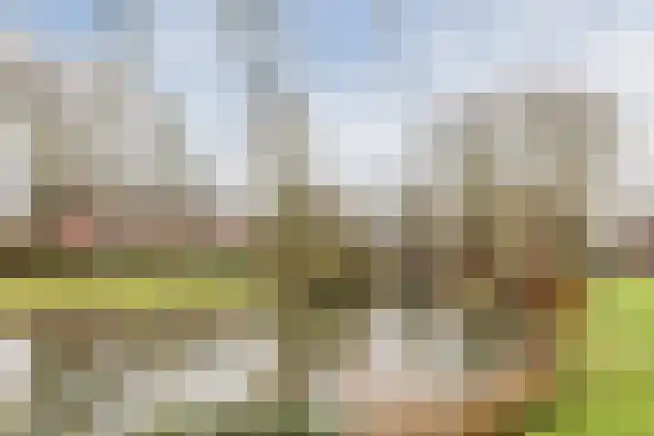 Elzekrulzoom 55 Alphen aan den Rijn thumbnail 55