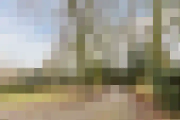 Elzekrulzoom 55 Alphen aan den Rijn thumbnail 56