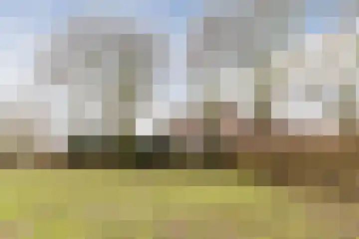 Elzekrulzoom 55 Alphen aan den Rijn thumbnail 58
