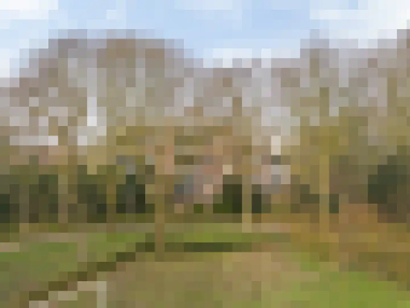 Elzekrulzoom 59 Alphen aan den Rijn